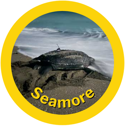 Seamore A HAY! Straws Adopted Sea Turtle